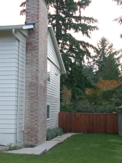 Lower level fireplace